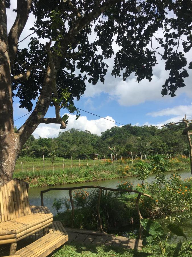 Campsite Camelo Farm