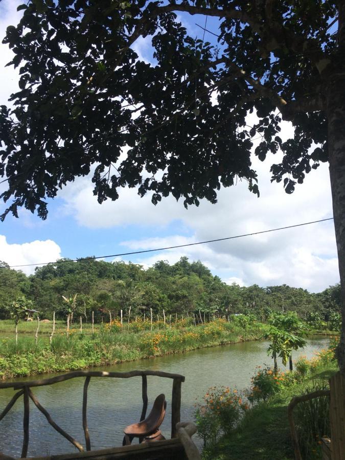Campsite Camelo Farm *