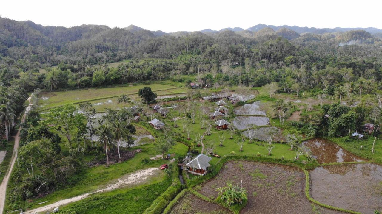 Campsite Camelo Farm