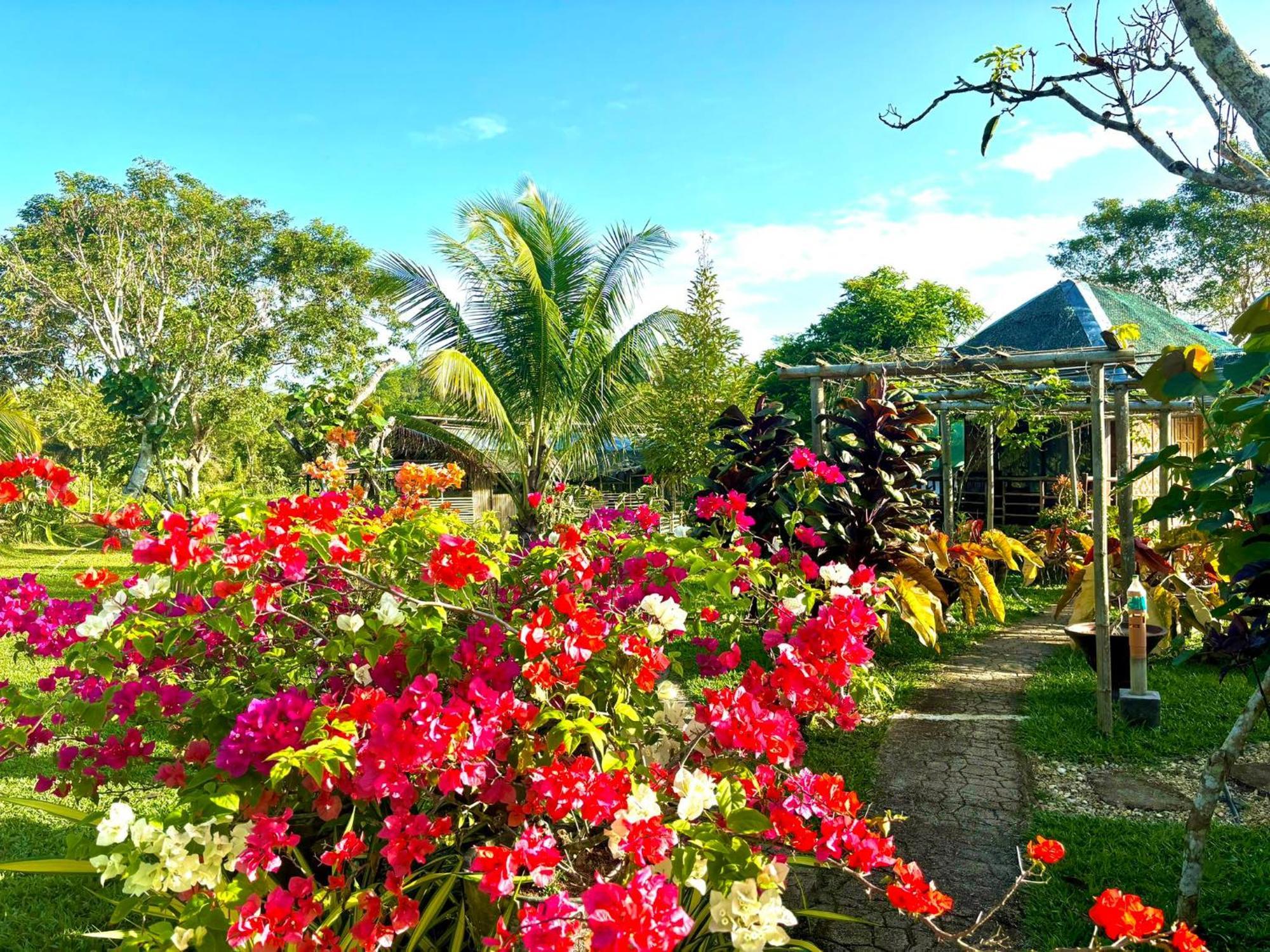 Camelo Farm Campsite