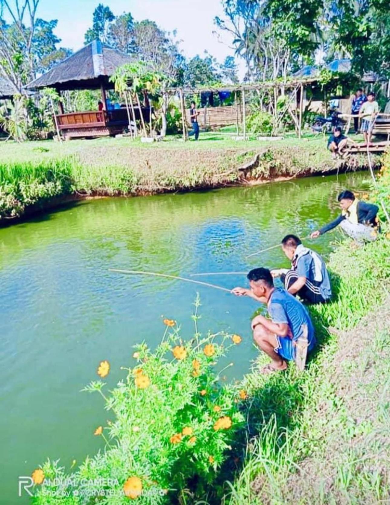 Camelo Farm *