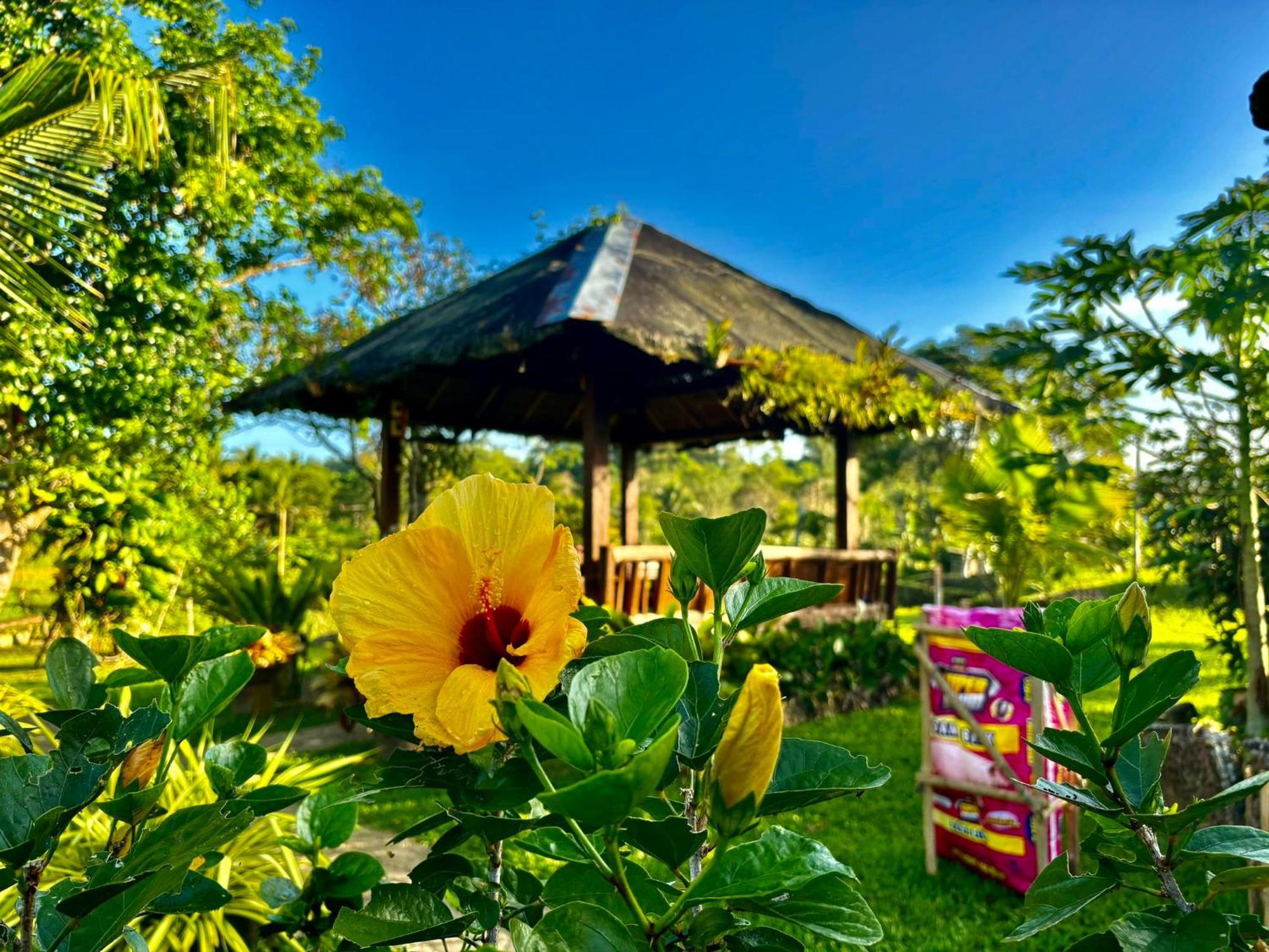 Camelo Farm Campsite Bilar