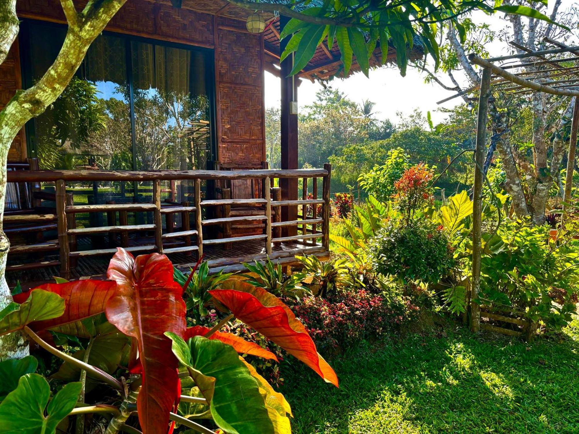 Camelo Farm *