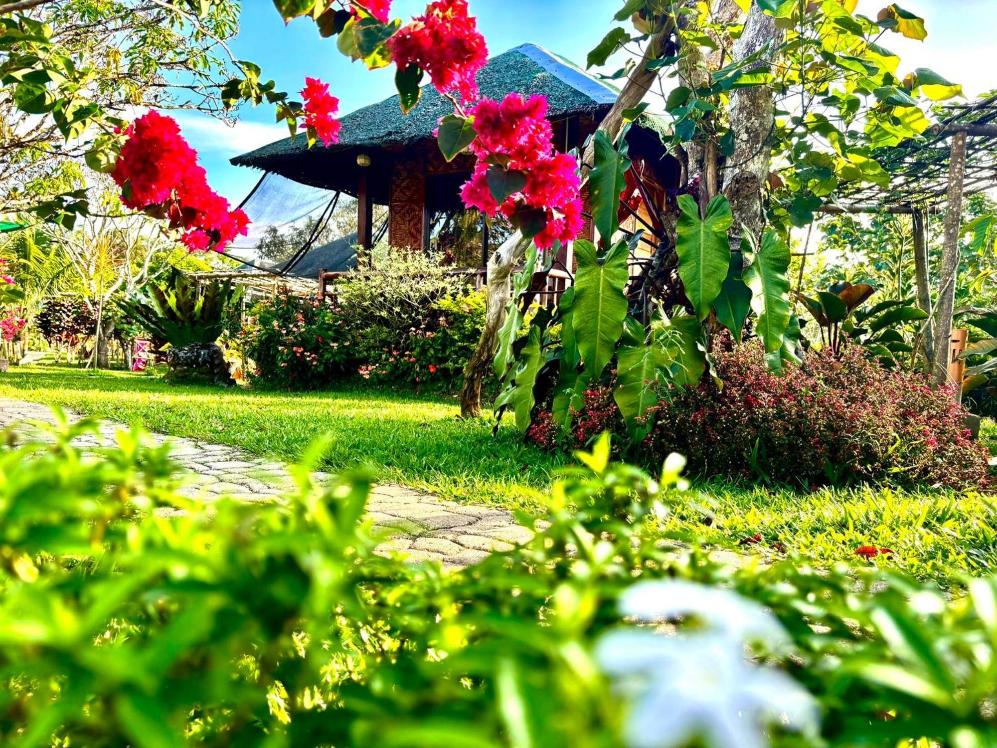 Camelo Farm *