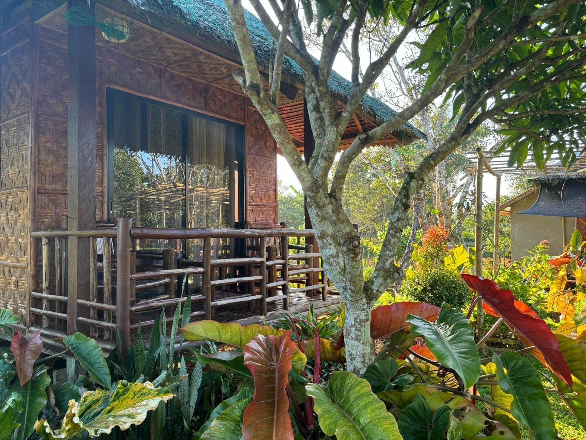 Camelo Farm Bilar